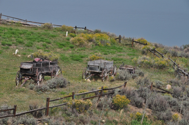 old wagons in residential yard, Henney